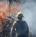 Cleveland National Forest: Prescribed Burn