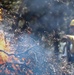Cleveland National Forest: Prescribed Burn