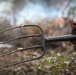 Cleveland National Forest: Prescribed Burn