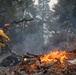Cleveland National Forest: Prescribed Burn