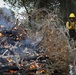 Cleveland National Forest: Prescribed Burn