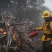 Cleveland National Forest: Prescribed Burn