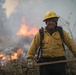 Cleveland National Forest: Prescribed Burn