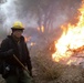 Cleveland National Forest: Prescribed Burn
