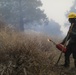 Cleveland National Forest: Prescribed Burn