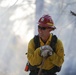Cleveland National Forest: Prescribed Burn