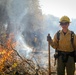 Cleveland National Forest: Prescribed Burn