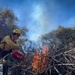 Cleveland National Forest: Prescribed Burn