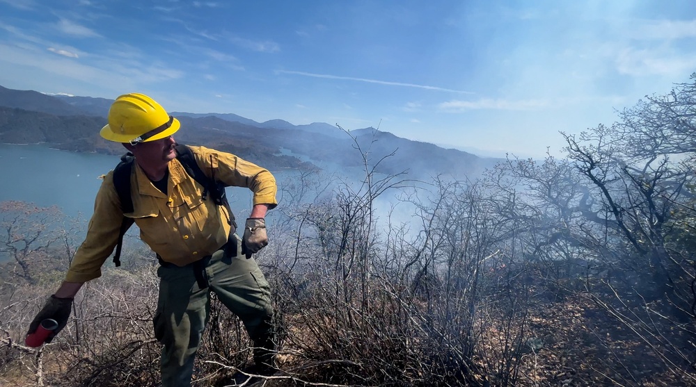 Backbone Prescribed Fire