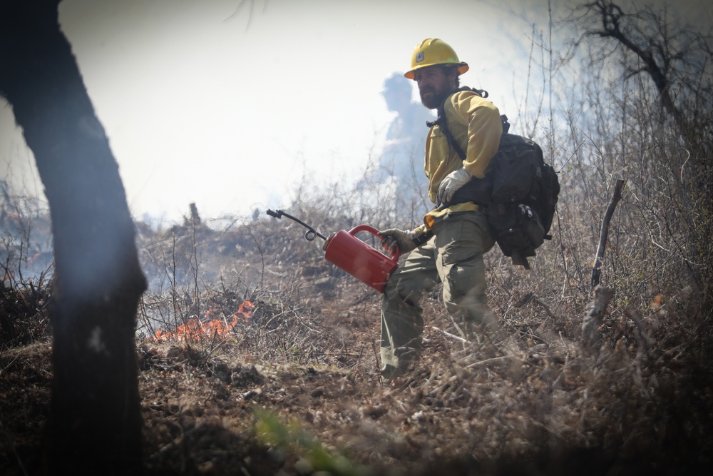 Backbone Prescribed Fire
