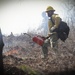 Backbone Prescribed Fire