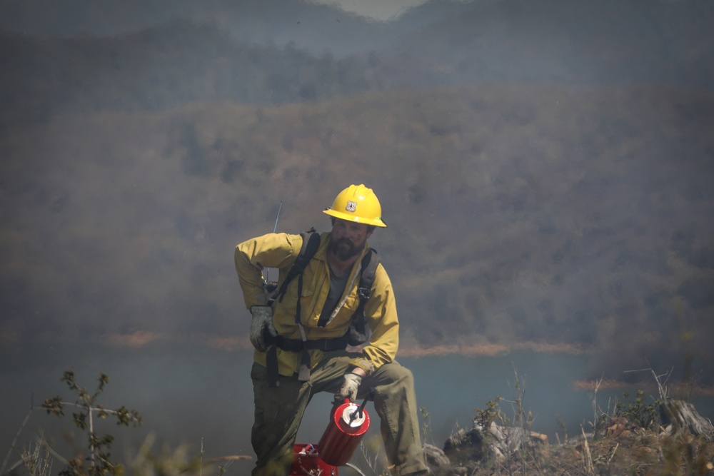 Backbone Prescribed Fire