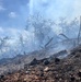 Backbone Prescribed Fire