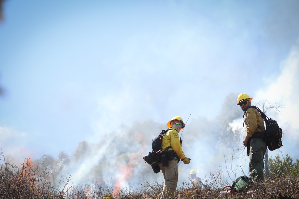 Backbone Prescribed Fire