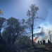 Backbone Prescribed Fire