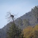 Backbone Prescribed Fire