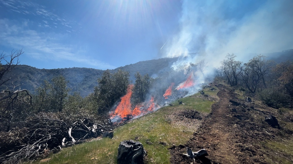 Backbone Prescribed Fire