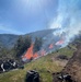 Backbone Prescribed Fire