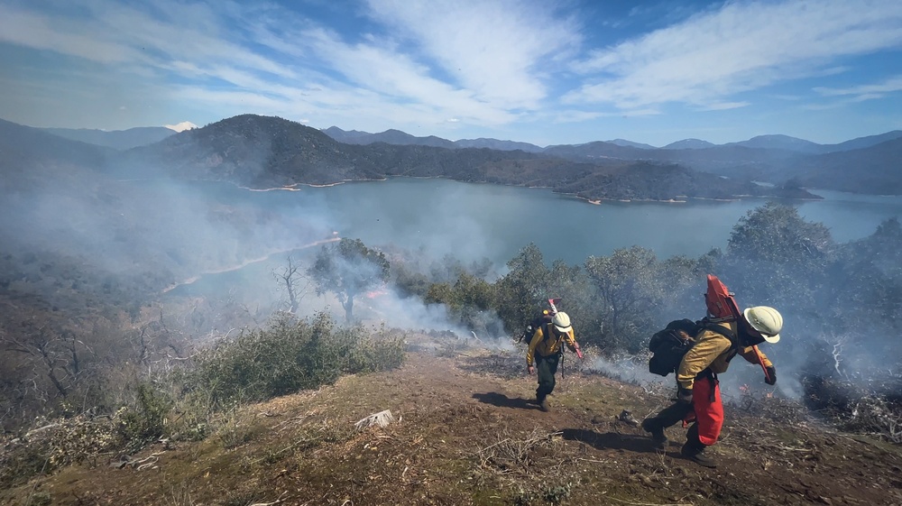 Backbone Prescribed Fire