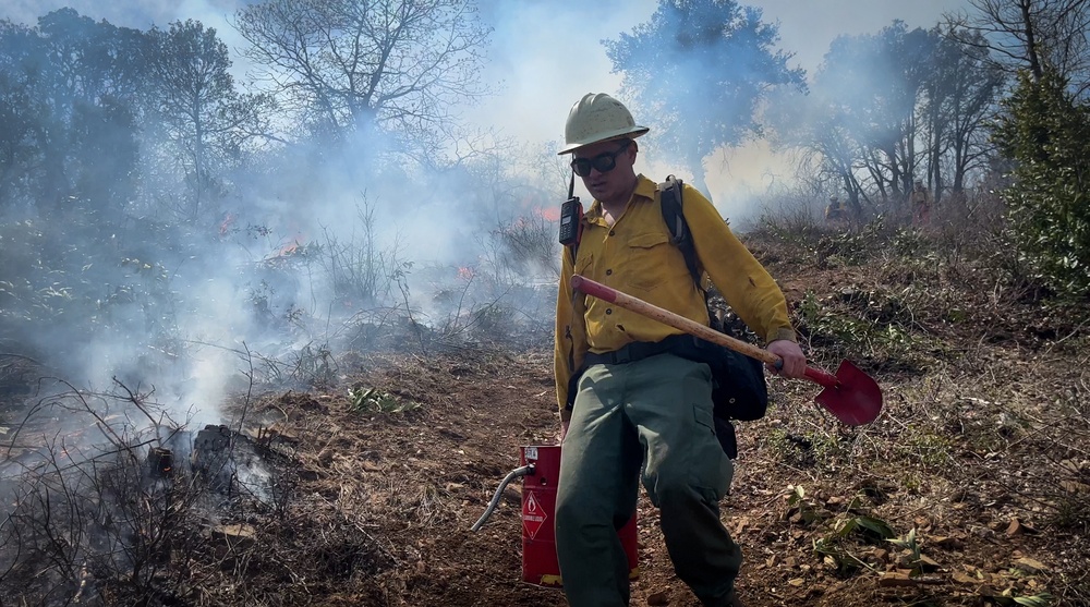 Backbone Prescribed Fire