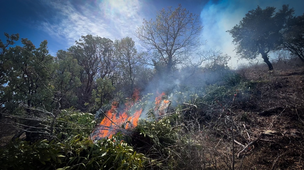 Backbone Prescribed Fire