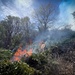 Backbone Prescribed Fire