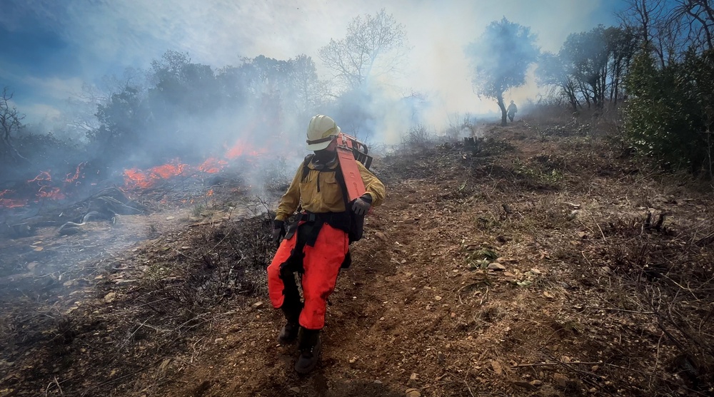 Backbone Prescribed Fire