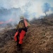 Backbone Prescribed Fire