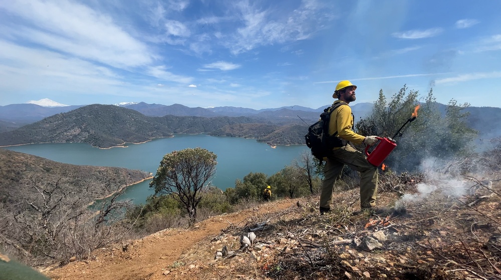 Backbone Prescribed Fire