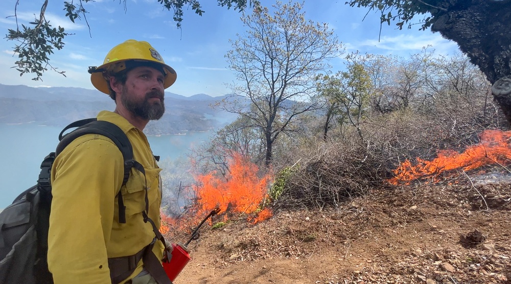 Backbone Prescribed Fire