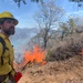 Backbone Prescribed Fire