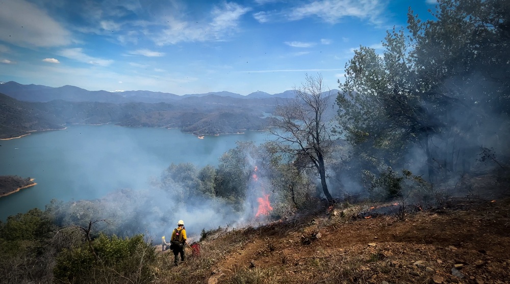 Backbone Prescribed Fire