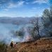 Backbone Prescribed Fire