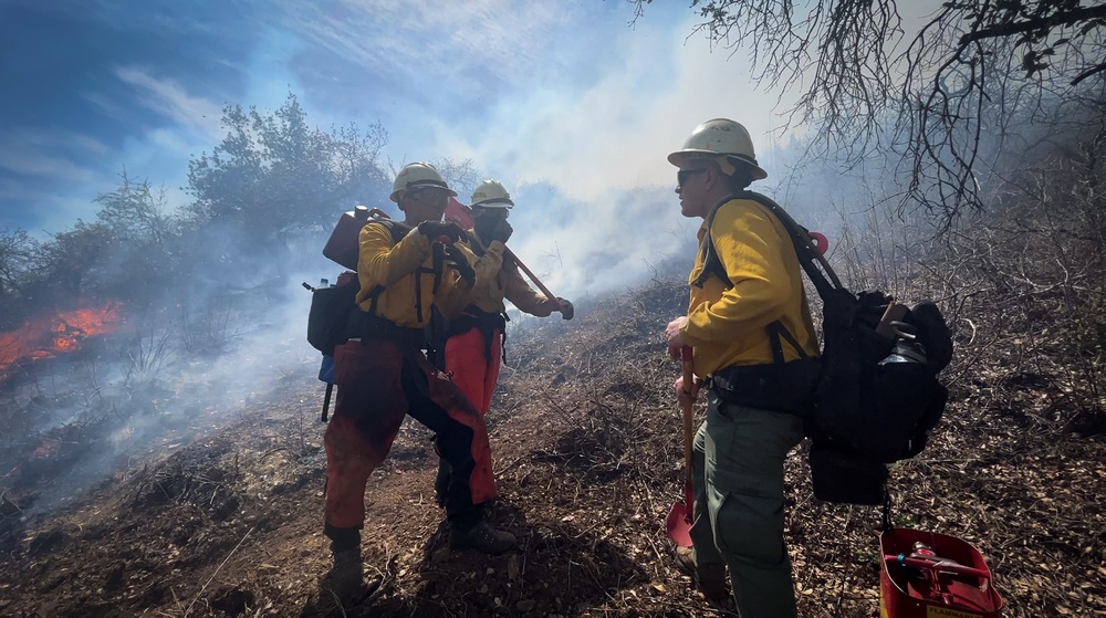 Backbone Prescribed Fire