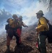 Backbone Prescribed Fire