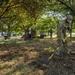 D.C. National Guardsmen distribute mulch in support of the D.C. Safe and Beautiful mission
