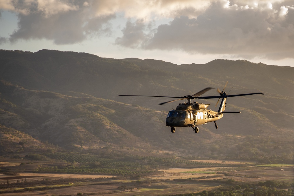 25th CAB Conducts Blackhawk Multi-ship Operations