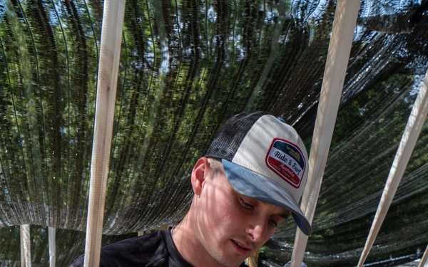 25-1 DE meets 25-11 DE: two are better than one