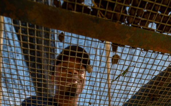 25-1 DE meets 25-11 DE: two are better than one