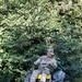 Guardsman with the D.C. National Guard perform landscaping and trash cleanup at East Potomac Park
