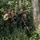Super Garuda Shield 25: U.S., Dutch, Japanese forces conduct close quarter battle drills