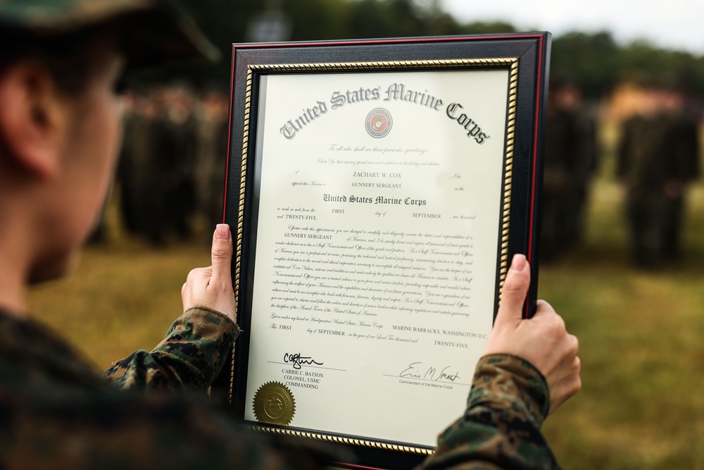 Alpha Company Warrior Night