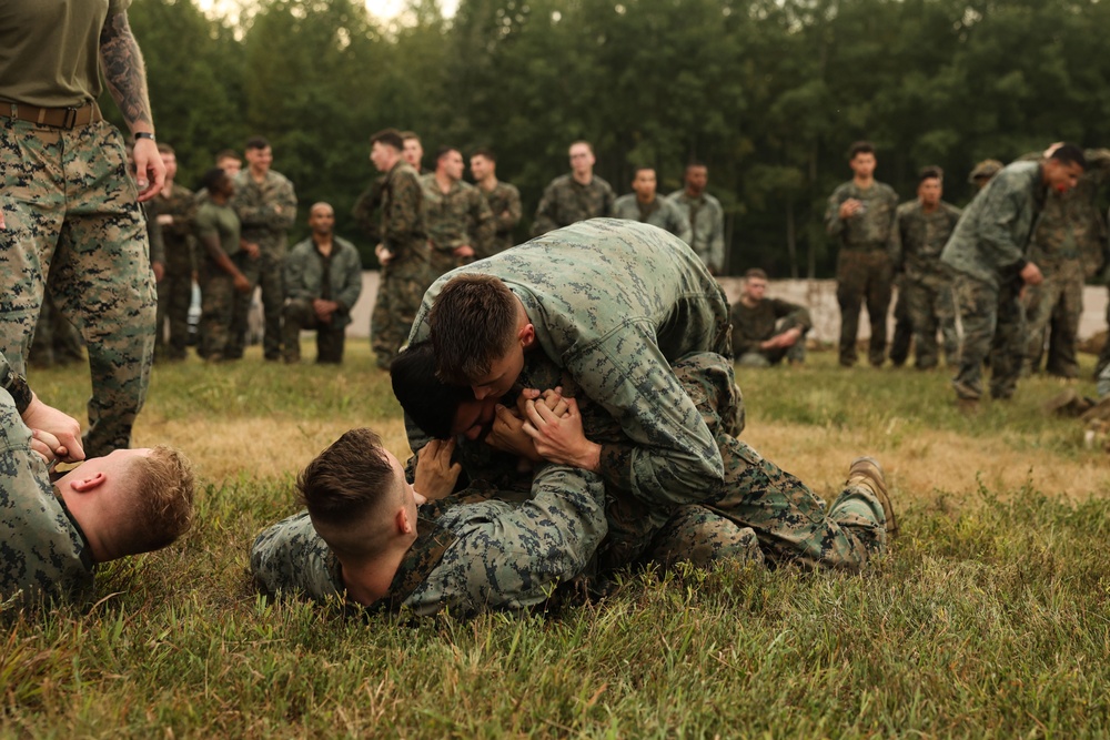 Alpha Company Warrior Night