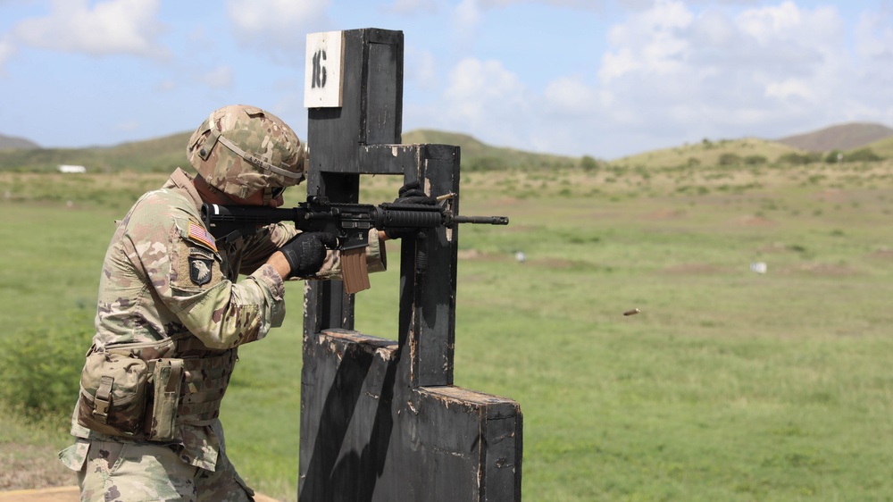 1st Battalion 389th Drill Sergeant Regiment Annual Individual Weapons Qualification