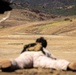 Advanced Sniper Course 25-2
