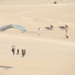 BRIGHT STAR 25: Military Free Fall over The Great Pyramids of Giza