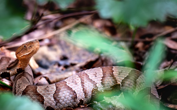 134th Security Forces Squadron Annual Training