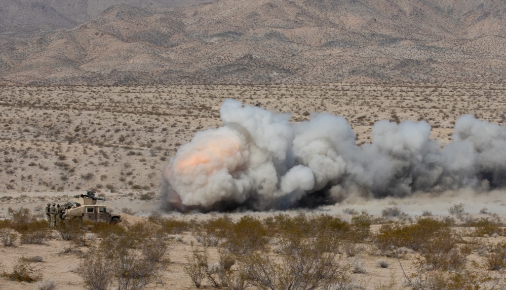 1-167 Infantry Regiment NTC Rotation