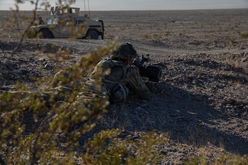 1-167 Infantry Regiment NTC Rotation