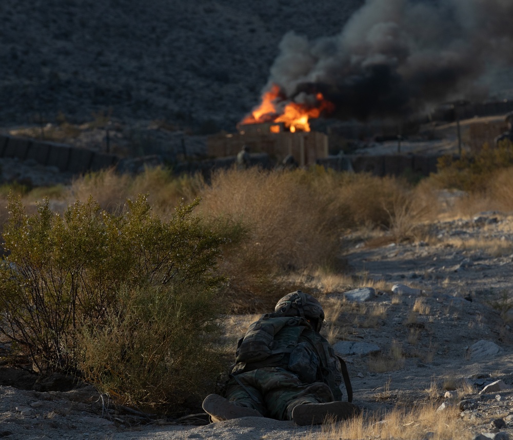 1-167 Infantry Regiment NTC Rotation